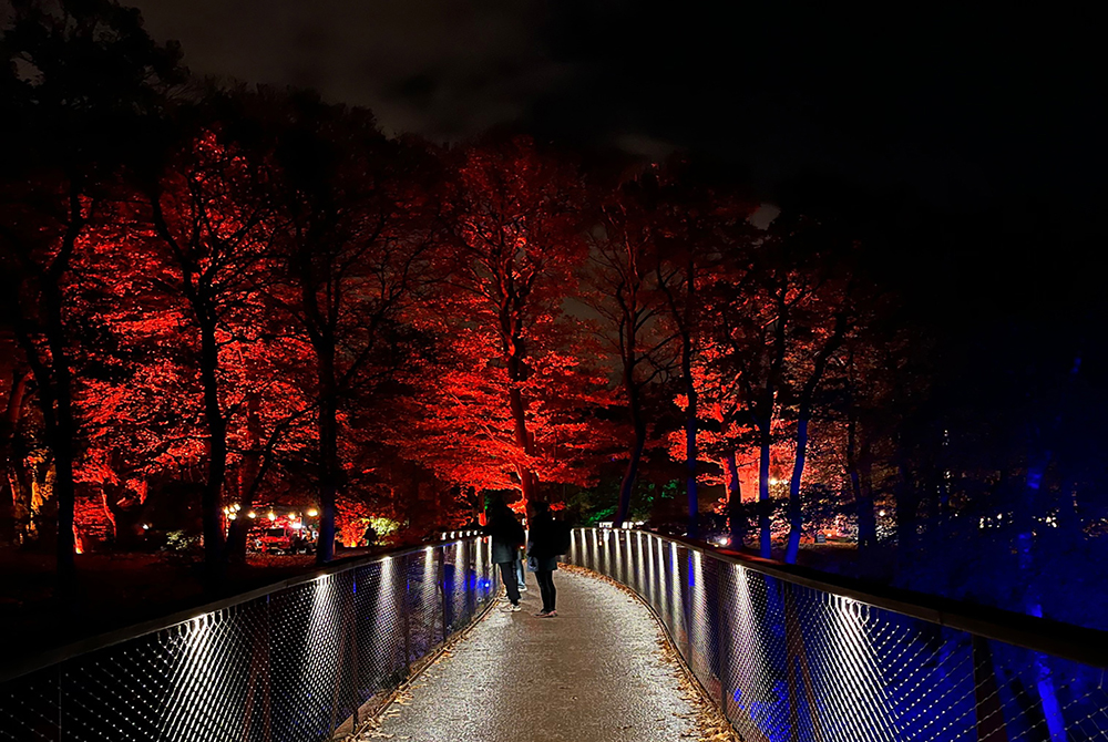 Street in city with evening lights. Photo. 